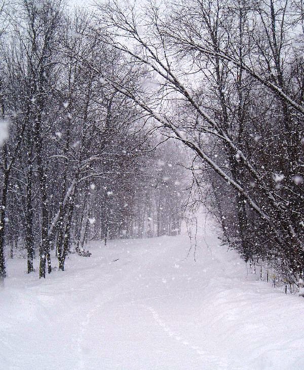 February Snow